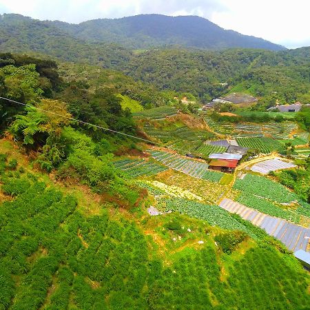 3 Rooms Apt @ Crown Imperial Court Cameron Highlands Eksteriør bilde